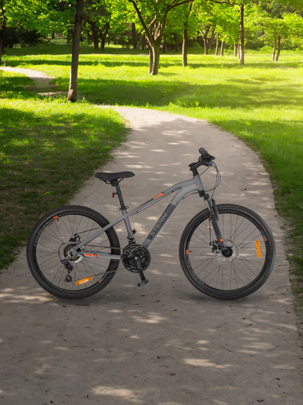 Велосипед Electra EBC'93 3i men's